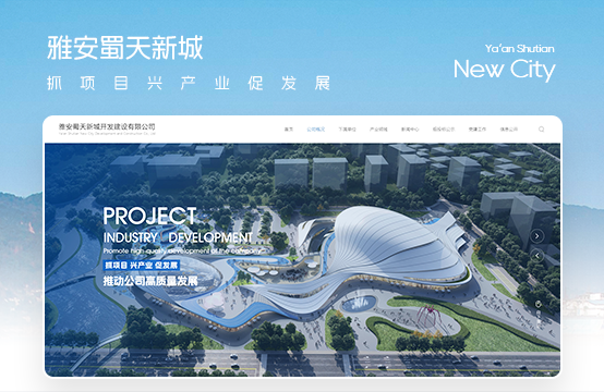 品牌官網(wǎng)、高端網(wǎng)站建設(shè)