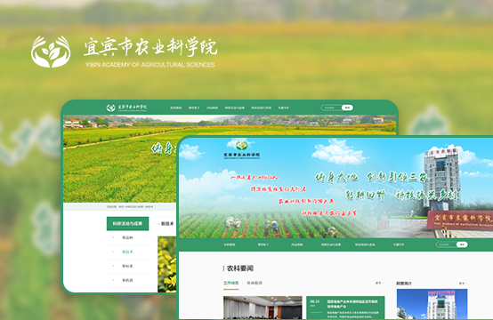 事業(yè)單位、品牌官網(wǎng)、定制網(wǎng)站
